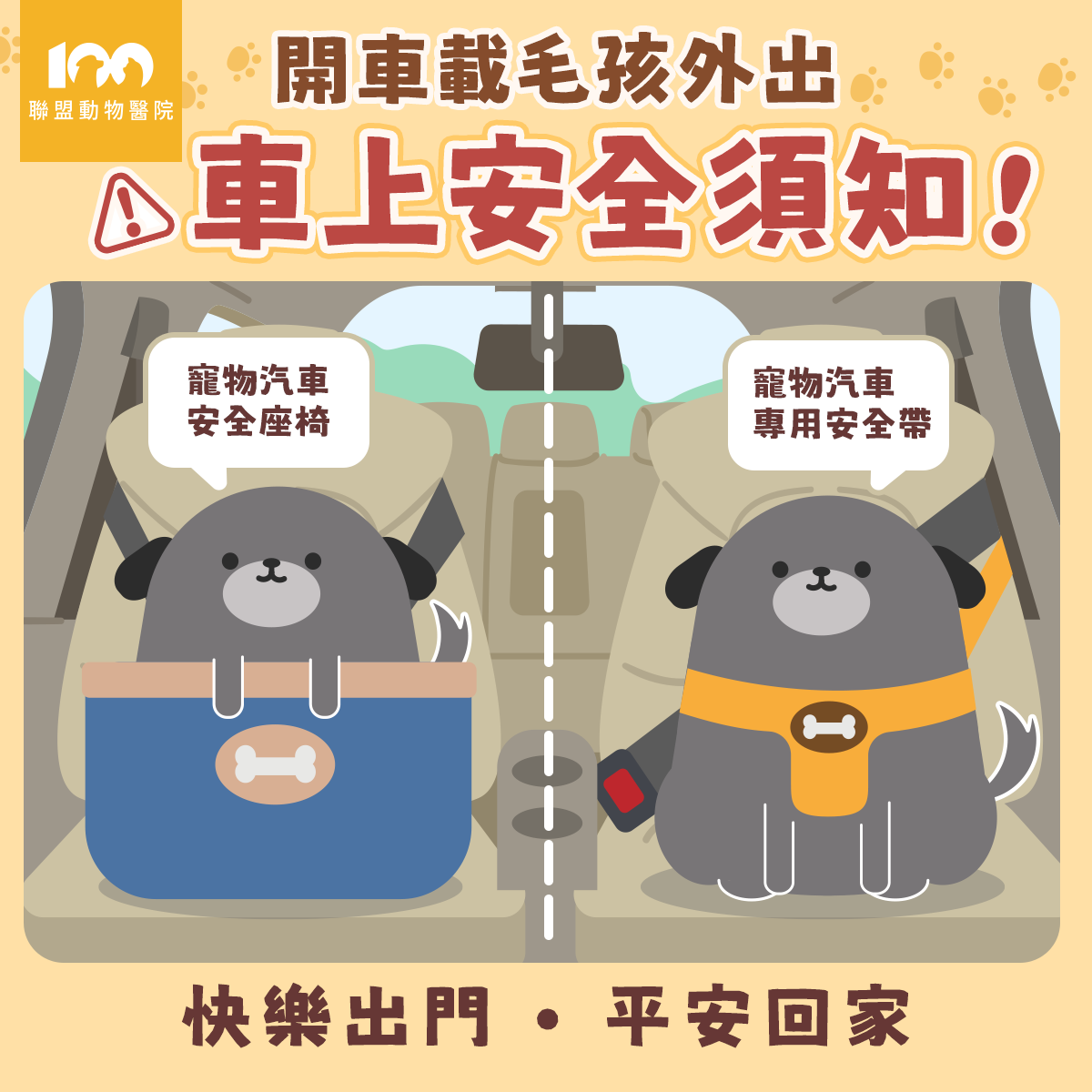 【開車載毛孩的安全宣導】